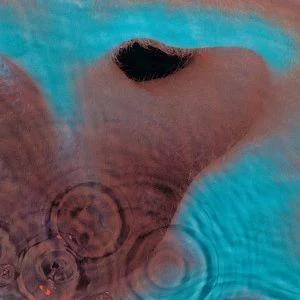2026_05_07_2793075