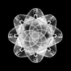 2026_05_07_2799513