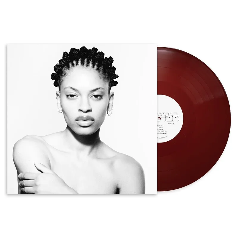 strangerthanparadiserecords202605071010012700632