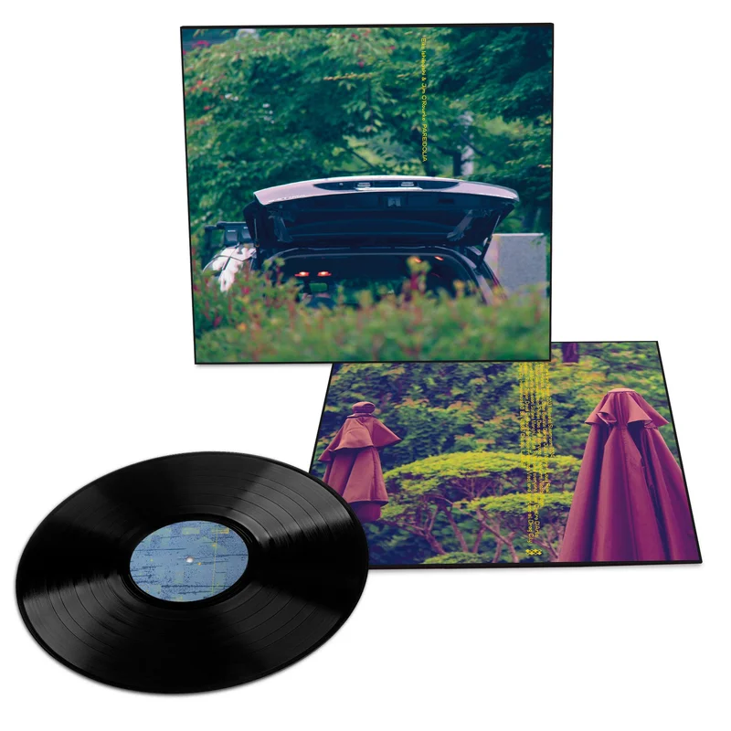 strangerthanparadiserecords202605071143192717437