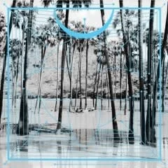 strangerthanparadiserecords202605071155572719737