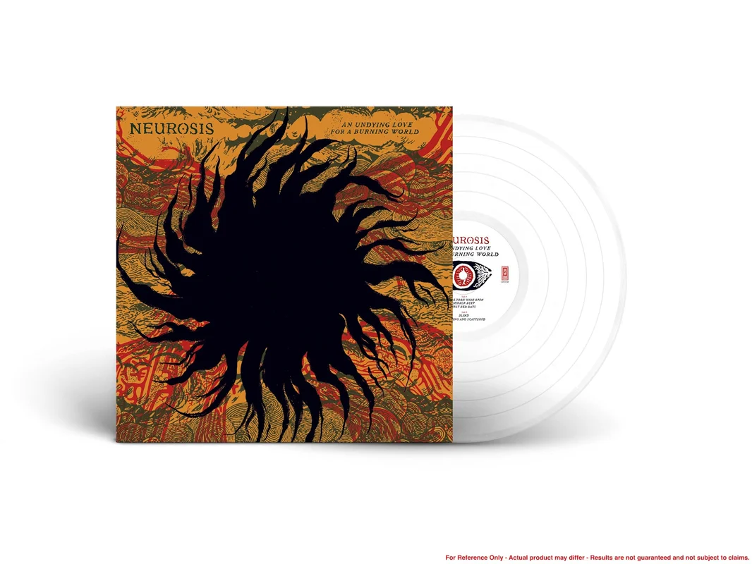 strangerthanparadiserecords202605071355012748247