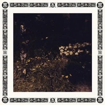 strangerthanparadiserecords202605071445432758484